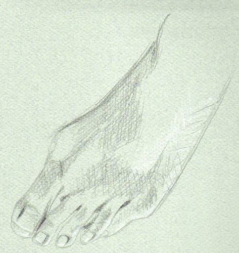 Un pied