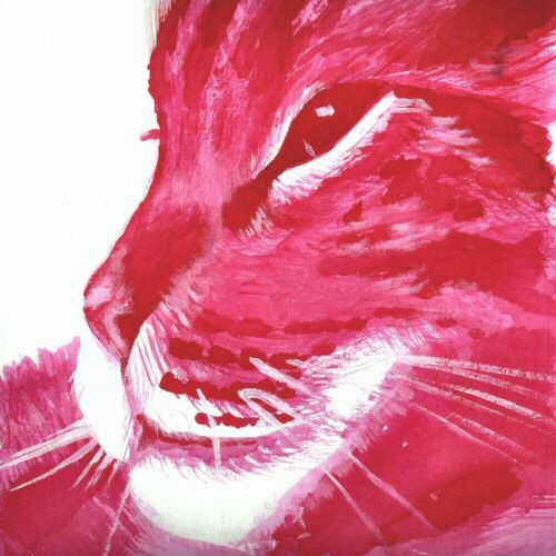 Chat rose