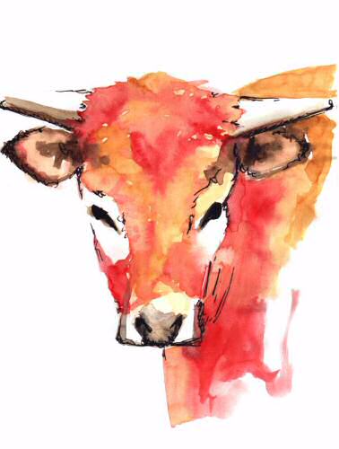 Vache